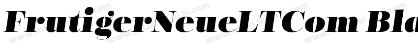FrutigerNeueLTCom BlackIt字体转换